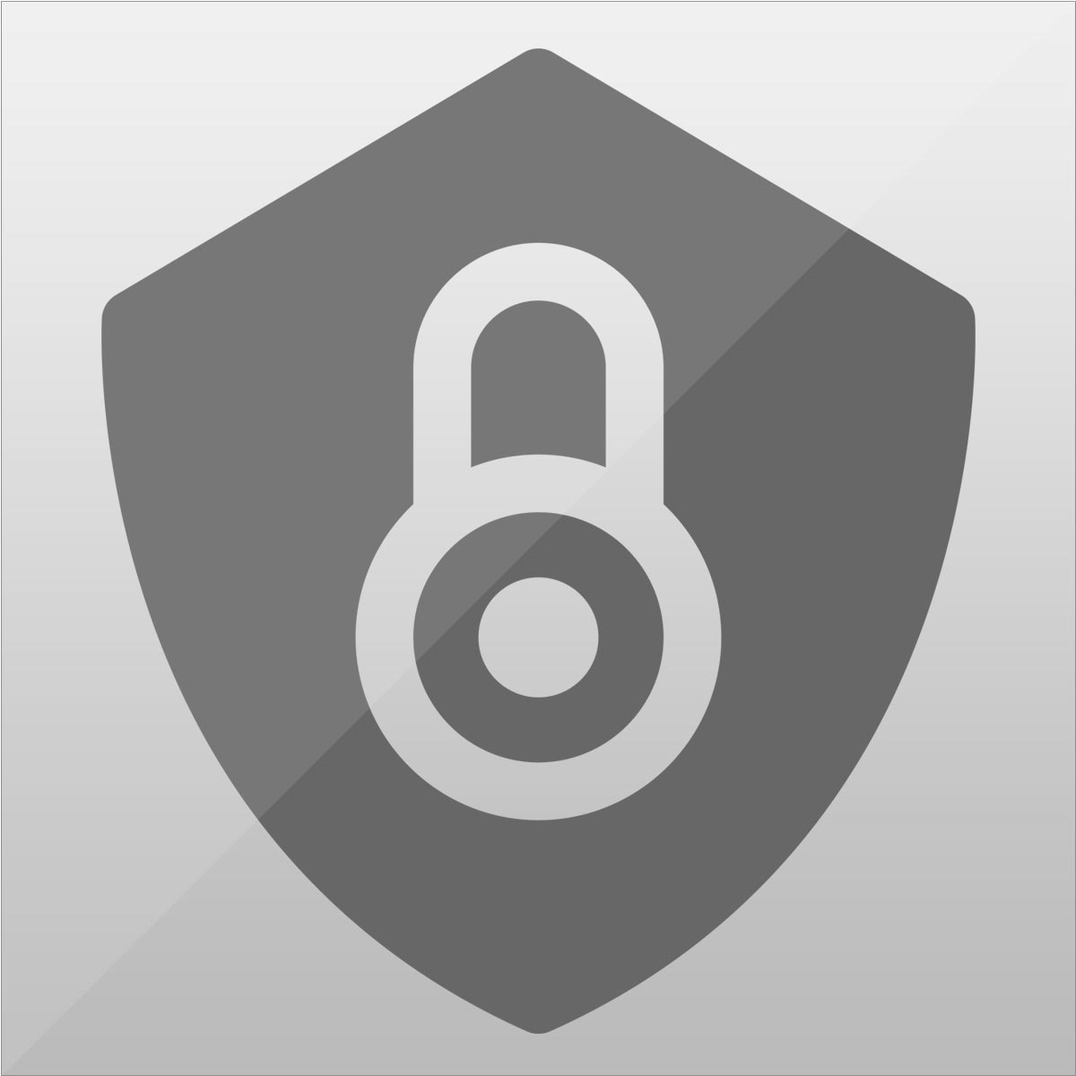 What is Standard DV SSL